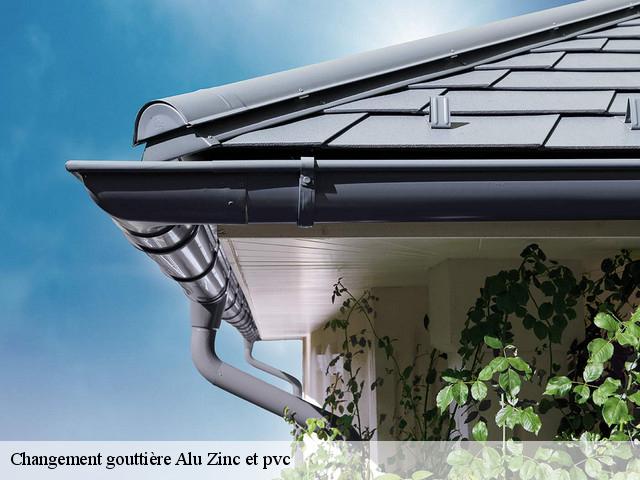 Changement gouttière Alu Zinc et pvc Essonne 