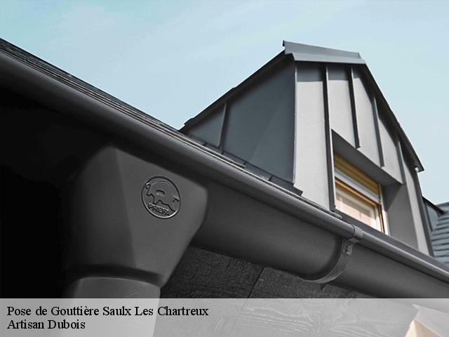 Pose de Gouttière 91160