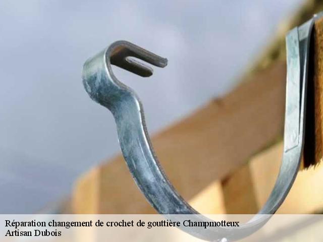 Réparation changement de crochet de gouttière  champmotteux-91150 Artisan Dubois