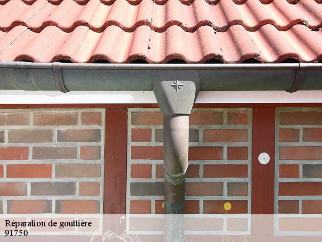 Réparation de gouttière 91750