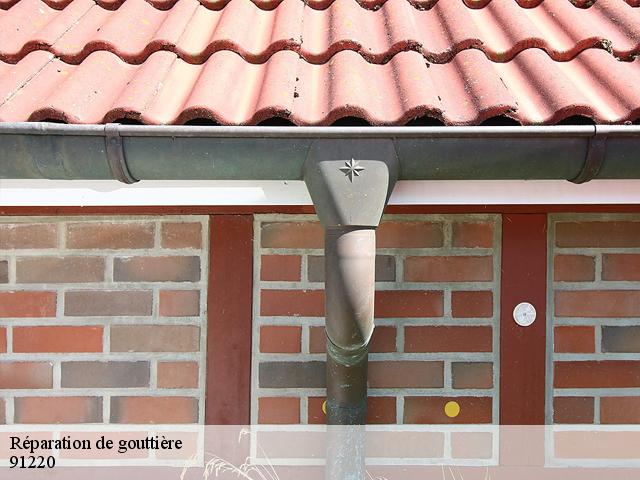 Réparation de gouttière 91220
