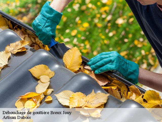 Débouchage de gouttière  breux-jouy-91650 Artisan Dubois