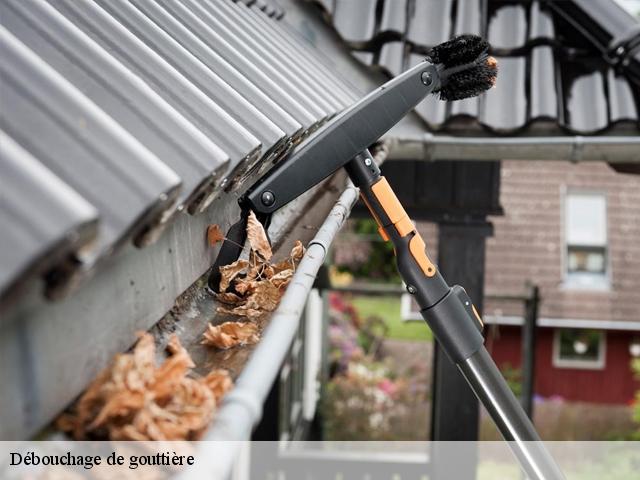 Débouchage de gouttière 91470