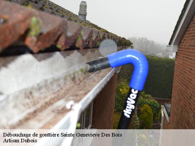 Débouchage de gouttière 91700