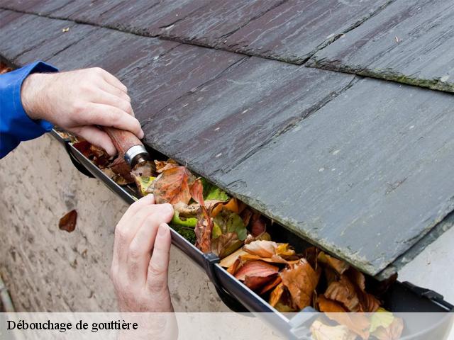 Débouchage de gouttière