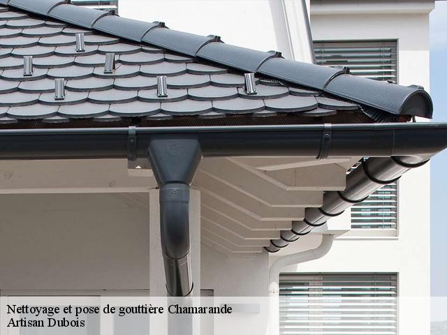 Nettoyage et pose de gouttière chamarande-91730 Artisan Dubois
