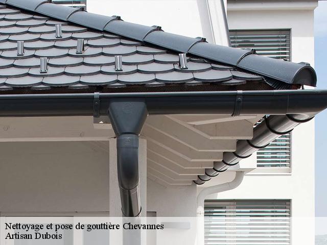 Nettoyage et pose de gouttière chevannes-91750 Artisan Dubois