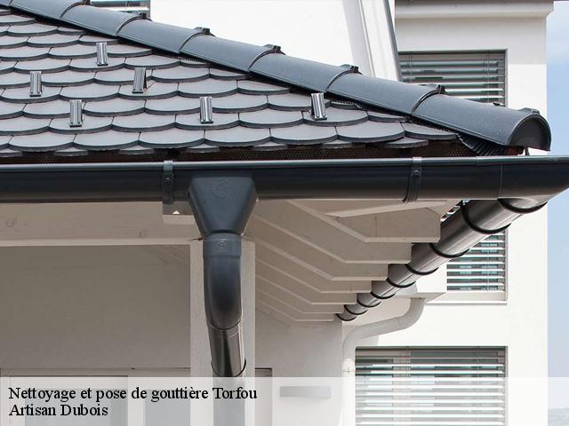 Nettoyage et pose de gouttière torfou-91730 Artisan Dubois