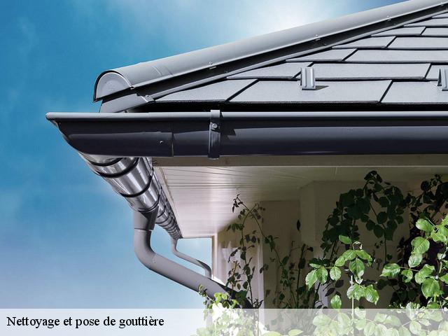 Nettoyage et pose de gouttière 91190