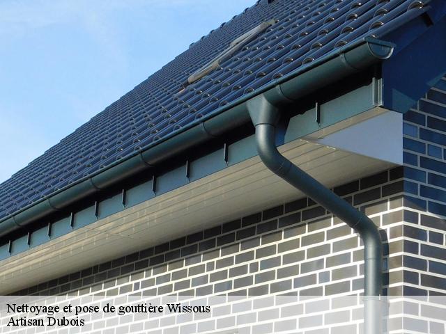 Nettoyage et pose de gouttière 91320