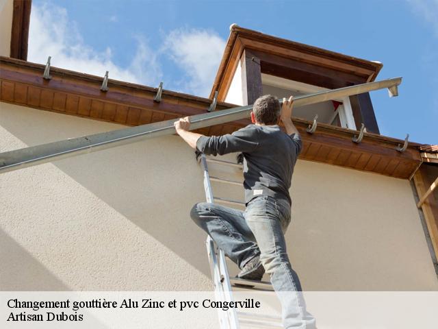 Changement gouttière Alu Zinc et pvc  congerville-91740 Artisan Dubois