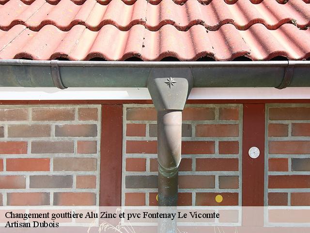 Changement gouttière Alu Zinc et pvc  91540