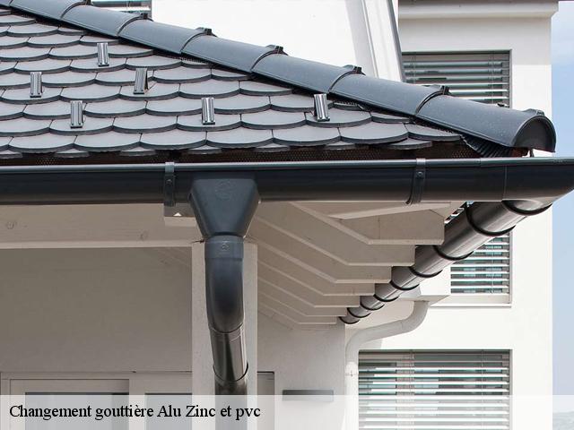 Changement gouttière Alu Zinc et pvc