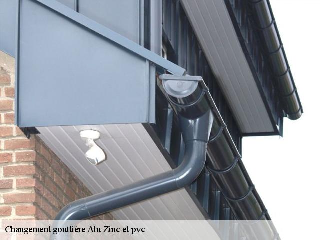 Changement gouttière Alu Zinc et pvc