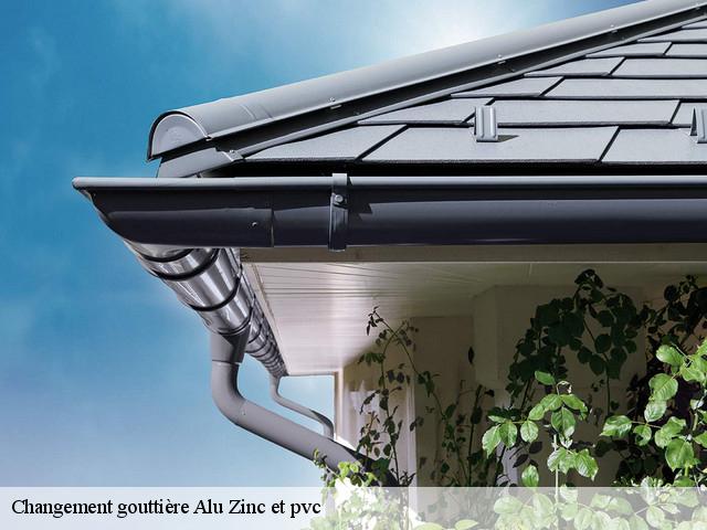 Changement gouttière Alu Zinc et pvc 91710