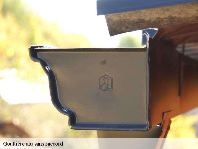 Gouttière alu sans raccord 91750