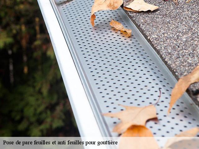 Pose de pare feuilles et anti feuilles pour gouttière  91670