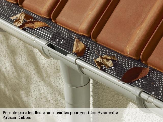 Pose de pare feuilles et anti feuilles pour gouttière  avrainville-91630 Artisan Dubois