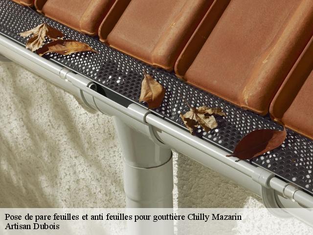 Pose de pare feuilles et anti feuilles pour gouttière chilly-mazarin-91380 Artisan Dubois
