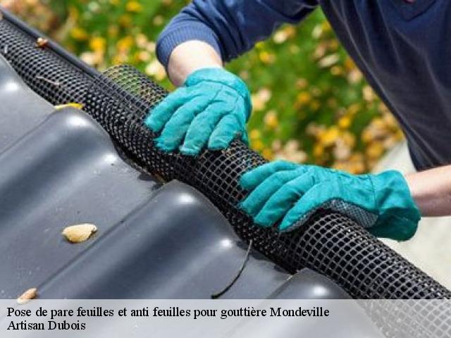 Pose de pare feuilles et anti feuilles pour gouttière